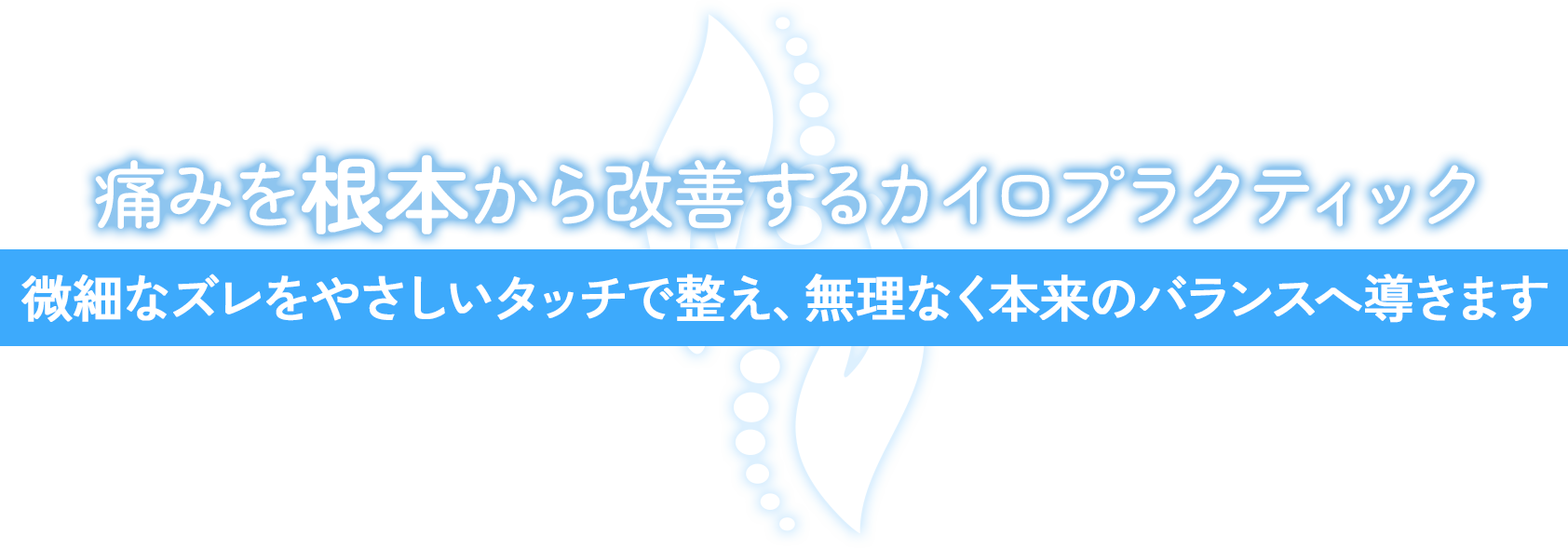 MVcatch.png